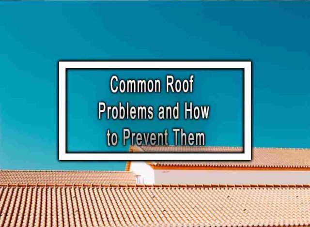 Common Roof Problems And How To Prevent Them