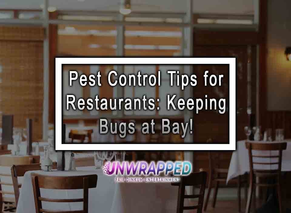 Pest Control Tips For Restaurants Keeping Bugs At Bay