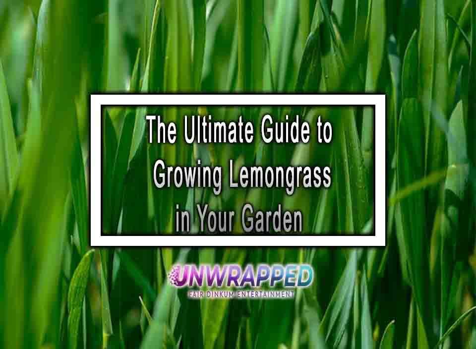 The Ultimate Guide To Growing Lemongrass In Your Garden