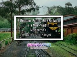 3 Reasons Puffing Billy Railway is a Must-Visit in Melbourne’s Dandenong Ranges