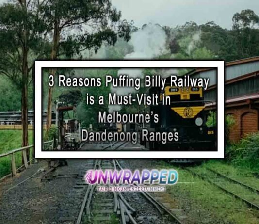 3 Reasons Puffing Billy Railway is a Must-Visit in Melbourne’s Dandenong Ranges