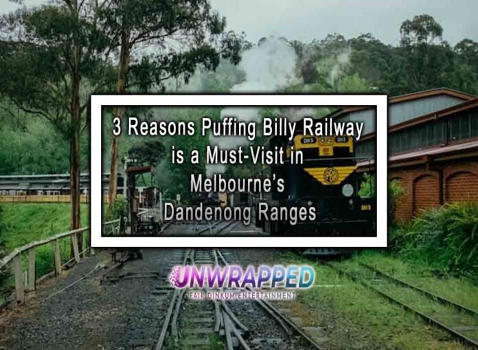 3 Reasons Puffing Billy Railway is a Must-Visit in Melbourne’s Dandenong Ranges