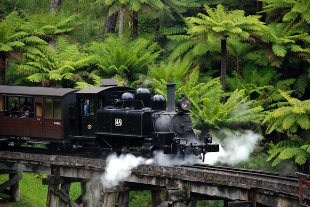 Puffing Billy Railway