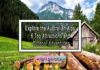 Explore the Australian Alps: 6 Top Attractions and Outdoor Adventures Explore the Australian Alps: 6 Top Attractions and Outdoor Adventures
