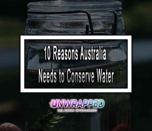 10 Reasons Australia Needs to Conserve Water in 2023
