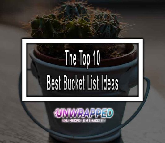 The Top 10 Best Bucket List Ideas In 2023 The Top 10 Best Bucket List Ideas