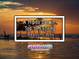 A Trip to Darwin: Top 10 Exciting Reasons Why