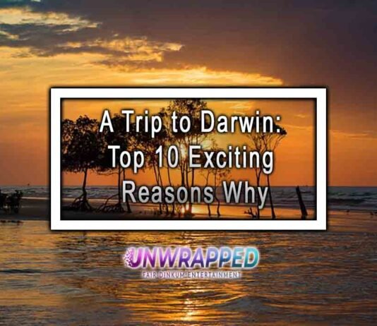 A Trip to Darwin: Top 10 Exciting Reasons Why