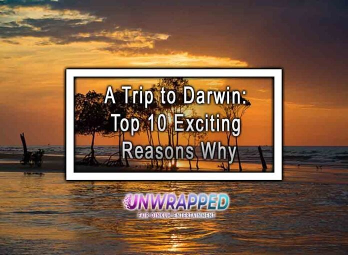 A Trip to Darwin: Top 10 Exciting Reasons Why