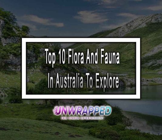 Top 10 Flora And Fauna In Australia To Explore