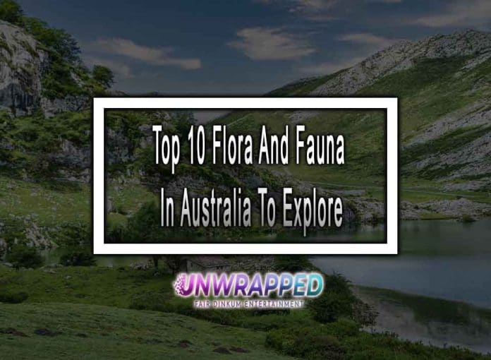 Top 10 Flora And Fauna In Australia To Explore