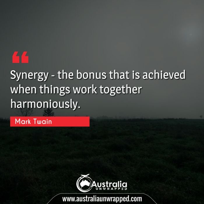 
 Synergy - the bonus that is achieved when things work together harmoniously.