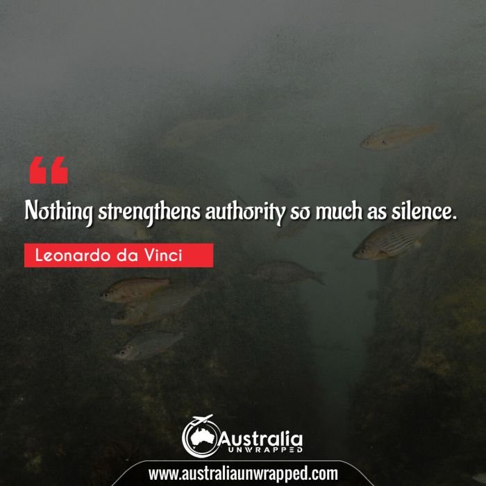 Nothing strengthens authority so much as silence.