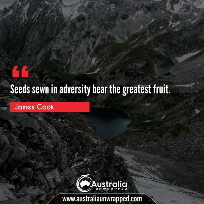  Seeds sewn in adversity bear the greatest fruit.