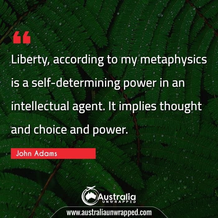  Liberty, according to my metaphysics is a self-determining power in an intellectual agent. It implies thought and choice and power.