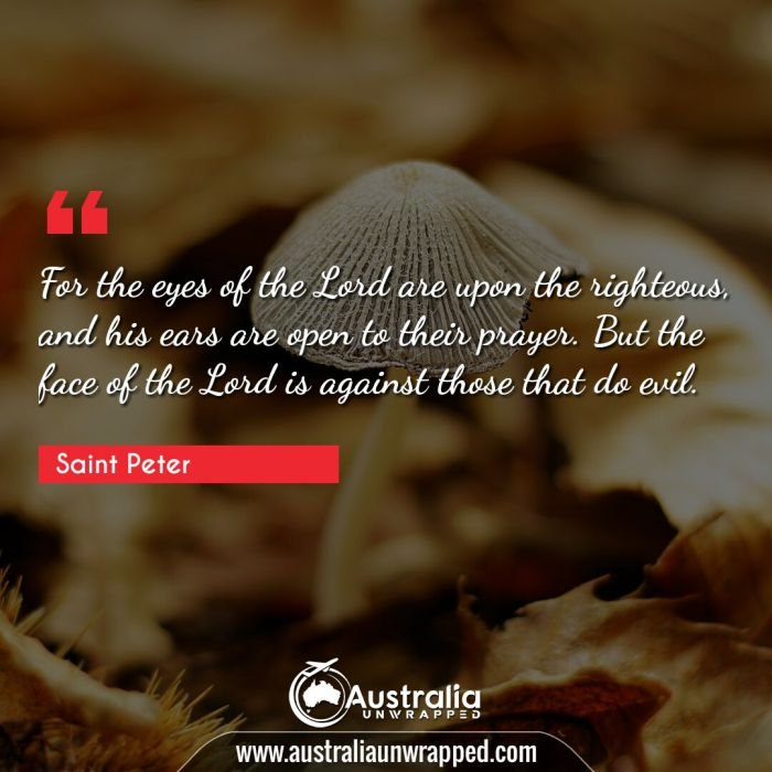 Meaningful & Inspirational Quotes By Saint Peter