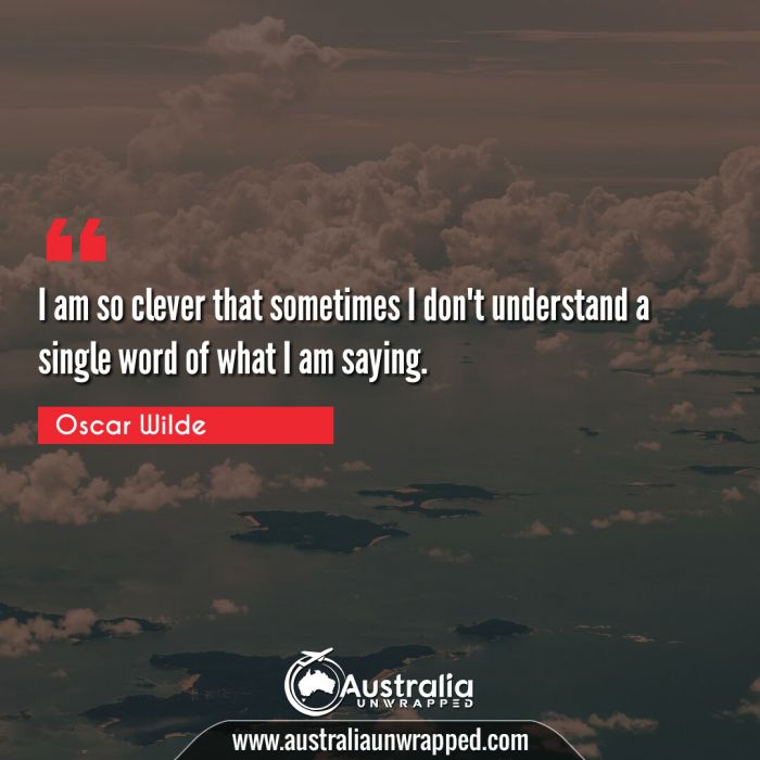  I am so clever that sometimes I don't understand a single word of what I am saying.
