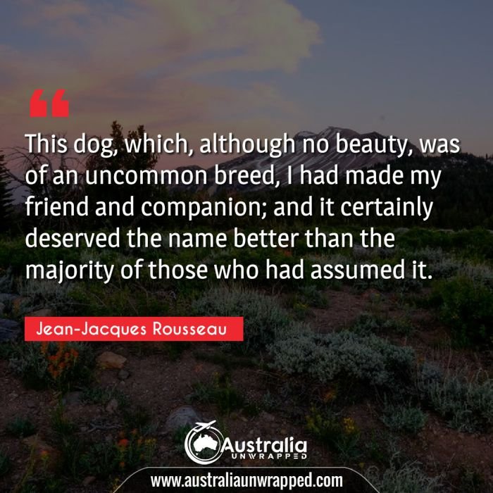  This dog, which, although no beauty, was of an uncommon breed, I had made my friend and companion; and it certainly deserved the name better than the majority of those who had assumed it.
