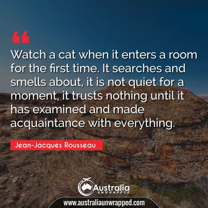  Watch a cat when it enters a room for the first time. It searches and smells about, it is not quiet for a moment, it trusts nothing until it has examined and made acquaintance with everything.
