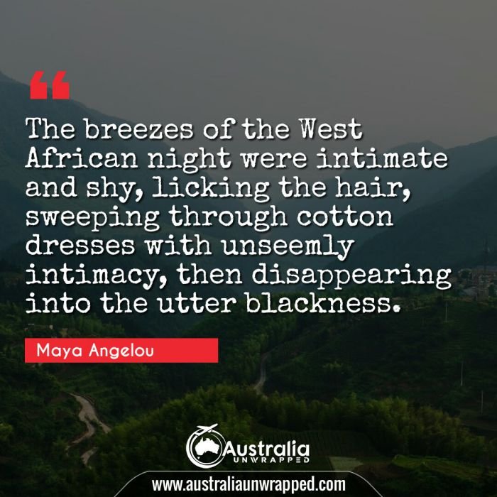 The breezes of the West African night were intimate and shy, licking the hair, sweeping through cotton dresses with unseemly intimacy, then disappearing into the utter blackness.
﻿