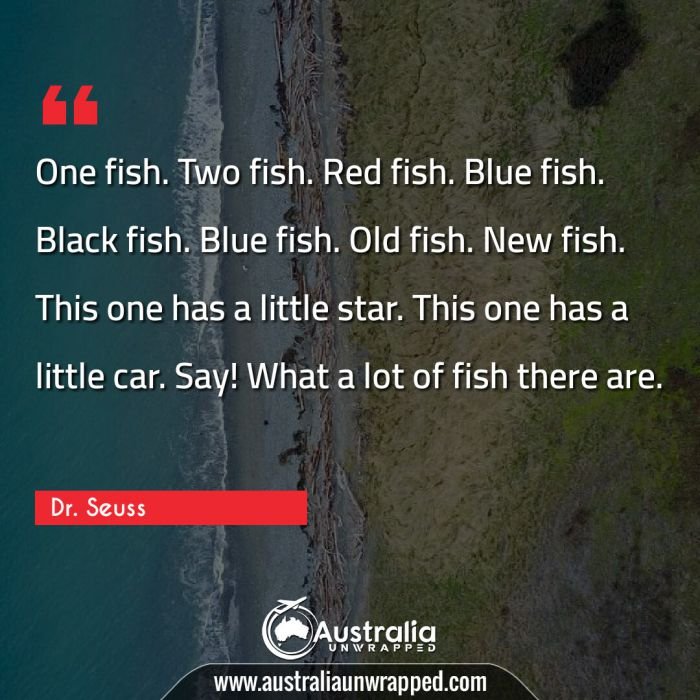  One fish. Two fish. Red fish. Blue fish. Black fish. Blue fish. Old fish. New fish. This one has a little star. This one has a little car. Say! What a lot of fish there are.
