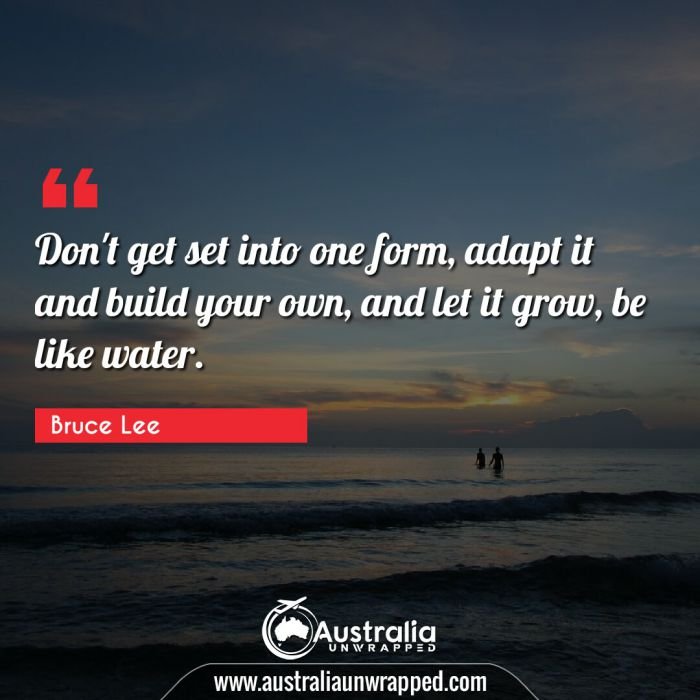  Don't get set into one form, adapt it and build your own, and let it grow, be like water.
