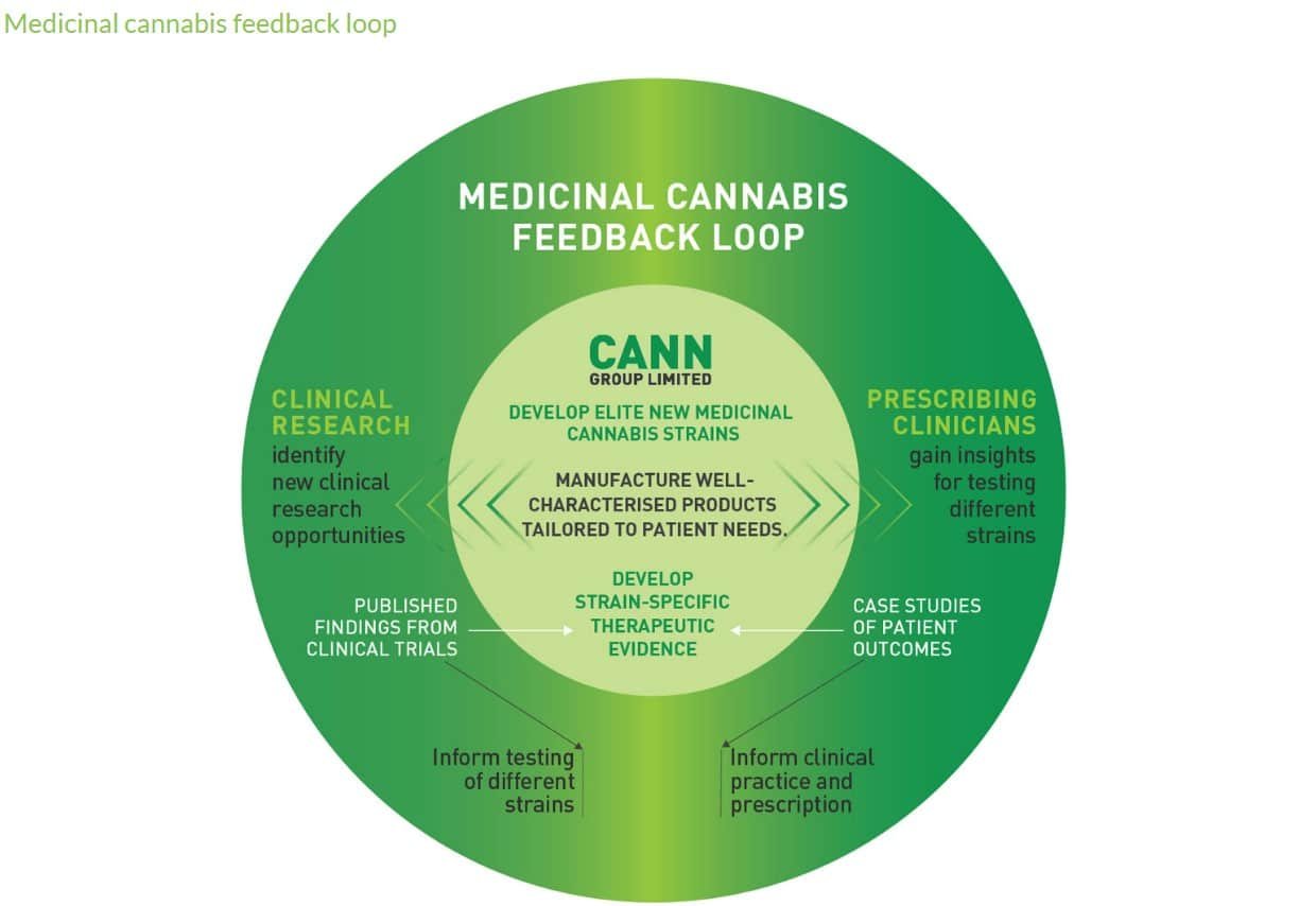 Are Cann Group a Good or Risky Investment