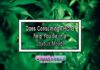 Does Consuming THC-O help You Be in a Joyous Mood? Does Consuming THC-O help You Be in a Joyous Mood?