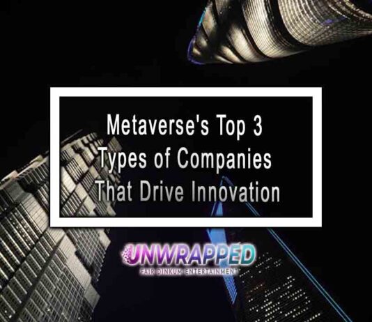 Metaverse's Top 3 Types of Companies That Drive Innovation