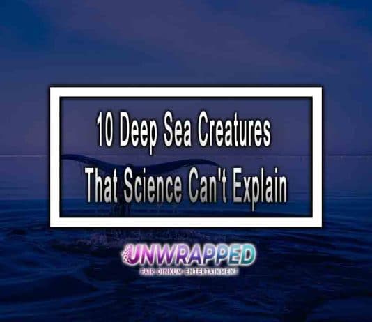 10 Deep Sea Creatures That Science Can't Explain