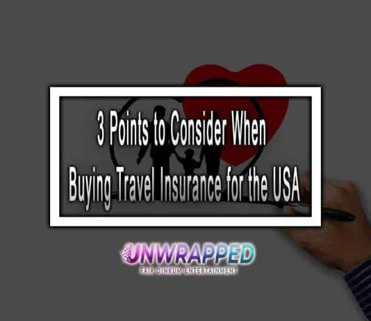 3 Points to Consider When Buying Travel Insurance for the USA 3 Points to Consider When Buying Travel Insurance for the USA