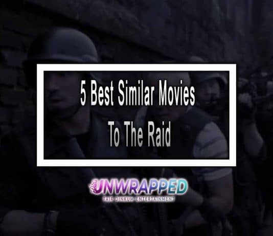 5 Best Similar Movies To The Raid