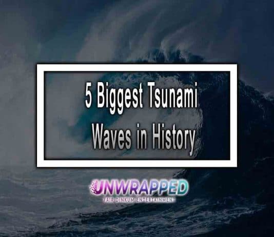 5 Biggest Tsunami Waves in History 5 Biggest Tsunami Waves in History