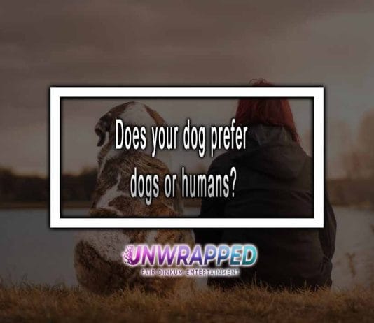 Does your dog prefer dogs or humans