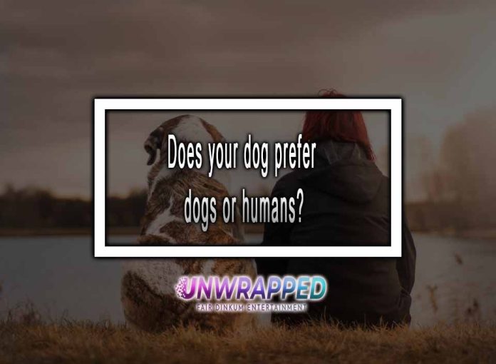 Does your dog prefer dogs or humans