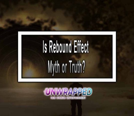Is Rebound Effect Myth or Truth