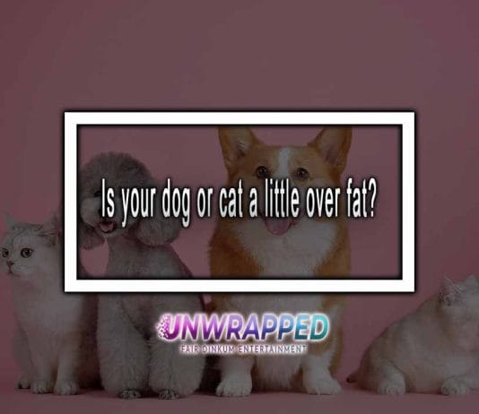 Is Your Dog Or Cat a Little Over Fat