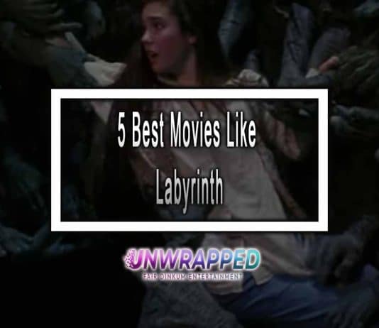 5 Best Movies Like Labyrinth Labyrinth