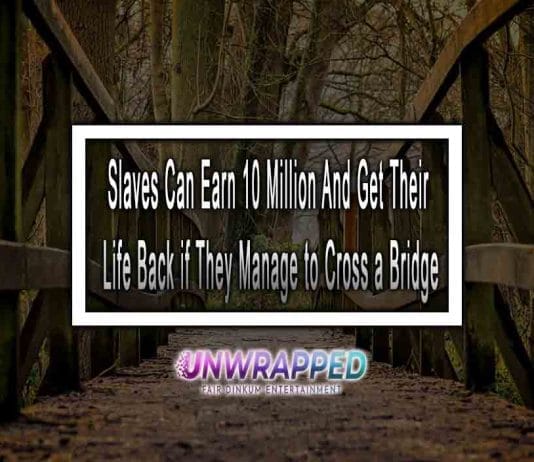 Slaves Can Earn 10 Million And Get Their Life Back if They Manage to Cross a Bridge, But Not Just a Normal Bridge… Slaves Can Earn 10 Million And Get Their Life Back if They Manage to Cross a Bridge