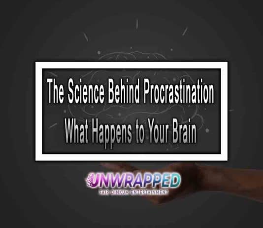 The Science Behind Procrastination What Happens to Your Brain The Science Behind Procrastination What Happens to Your Brain