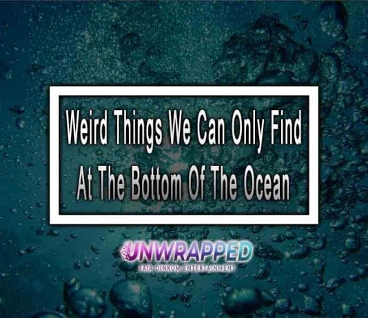 Weird Things We Can Only Find At The Bottom Of The Ocean Weird Things We Can Only Find At The Bottom Of The Ocean