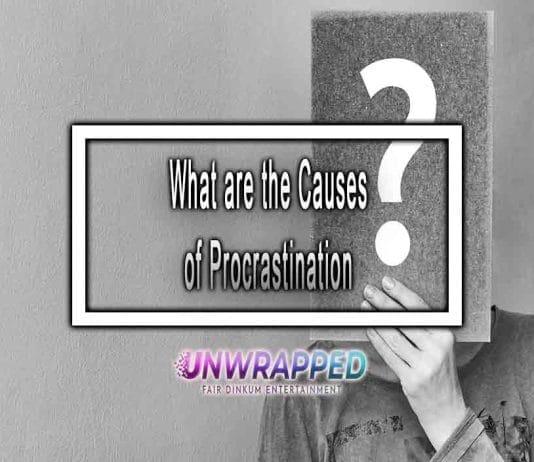 What are the Causes of Procrastination – and How to Stop What are the Causes of Procrastination