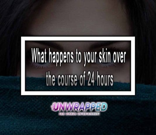 What happens to your skin over the course of 24 hours