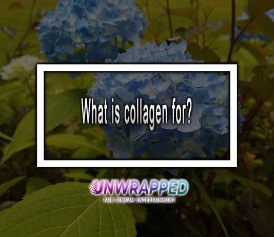 What is collagen for