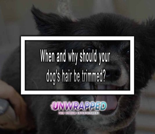 when and why should your dog's hair be trimmed