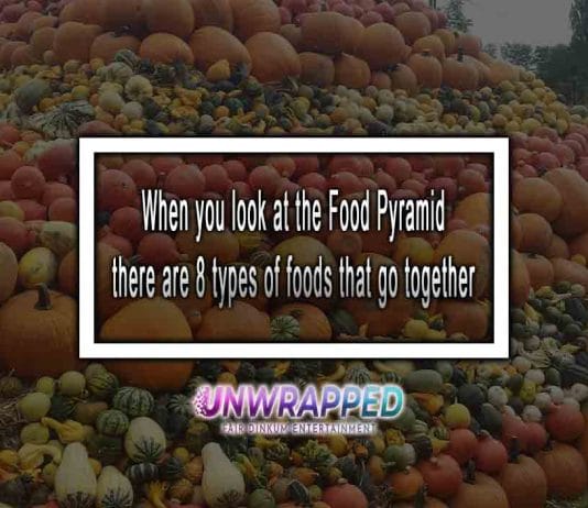 When You Look At The Food Pyramid When You Look At The Food Pyramid