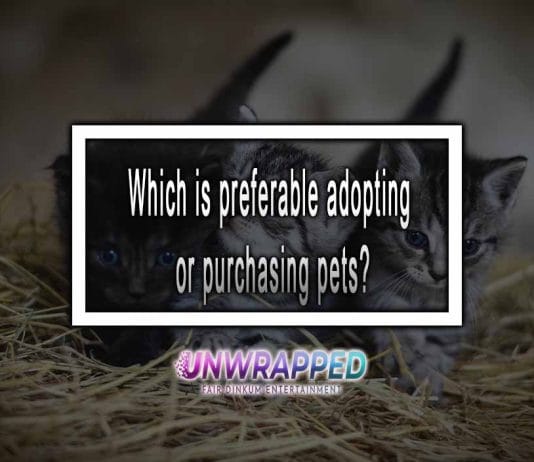 Which is preferable: adopting or purchasing pets?