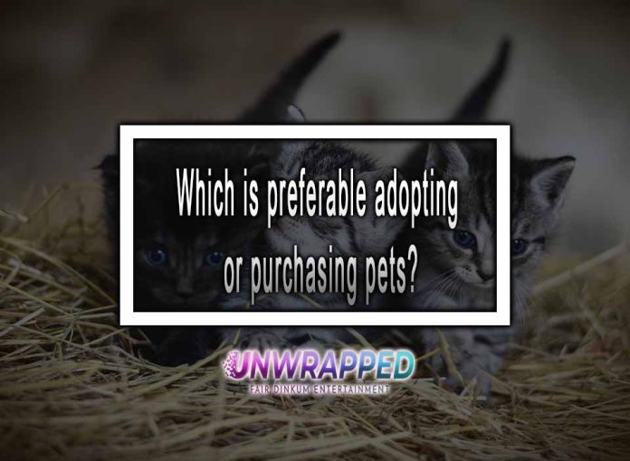 Which is preferable: adopting or purchasing pets?