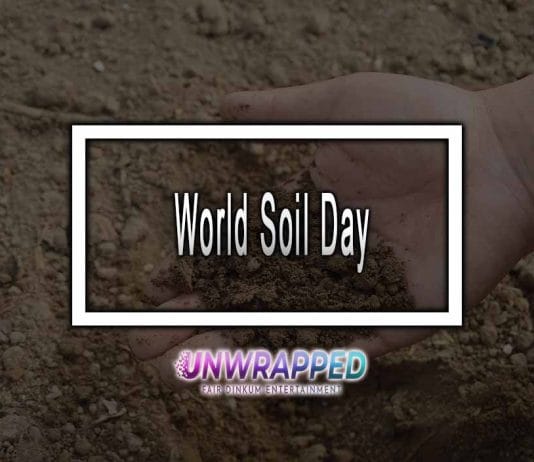 World Soil Day 2022