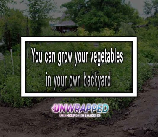 Grow Vegetables In Your Backyard Grow Vegetables In Your Backyard